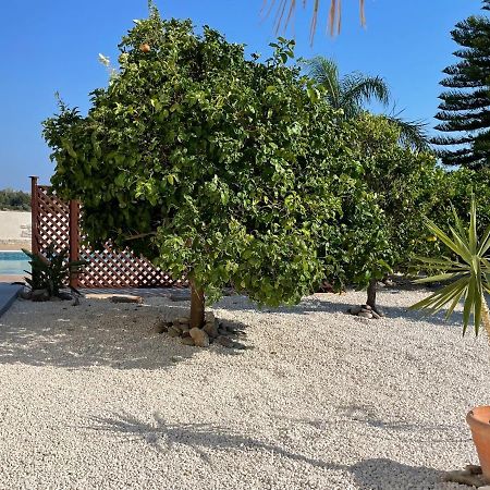 Coral Bungalow Mercan Koyu Dış mekan fotoğraf