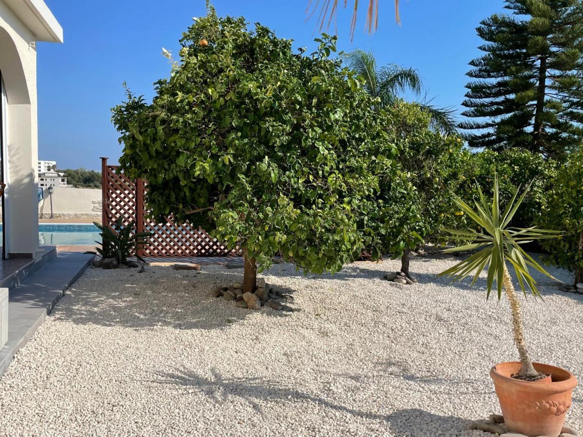 Coral Bungalow Mercan Koyu Dış mekan fotoğraf